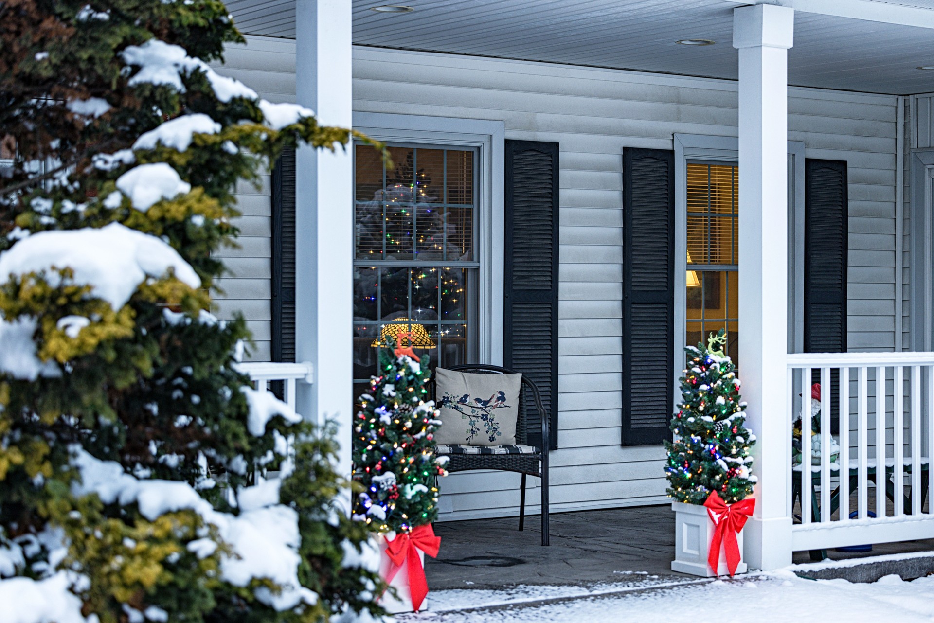 Cheerful Christmas Holiday Contrasts