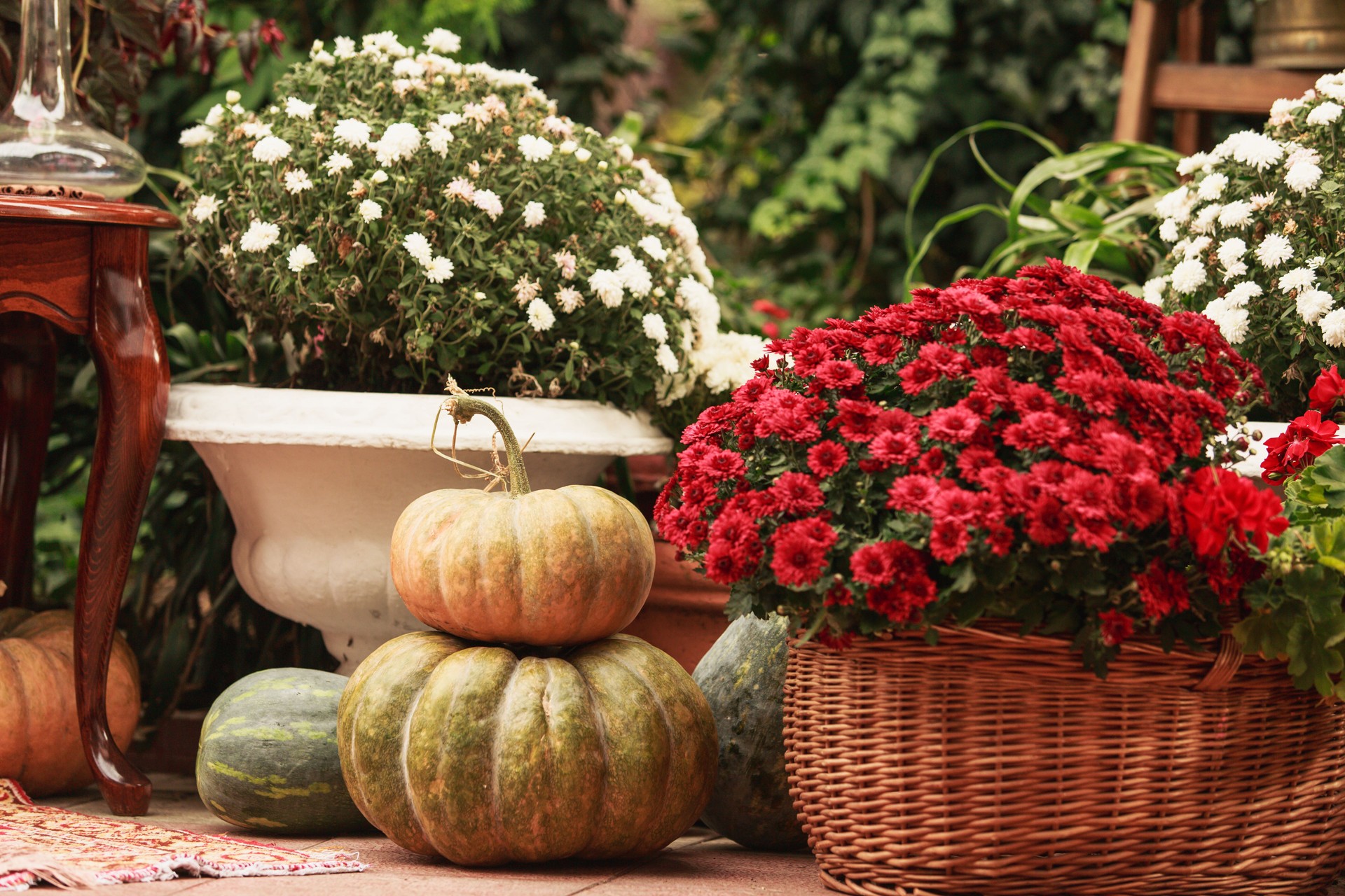Terrace with flowers and fall decor
