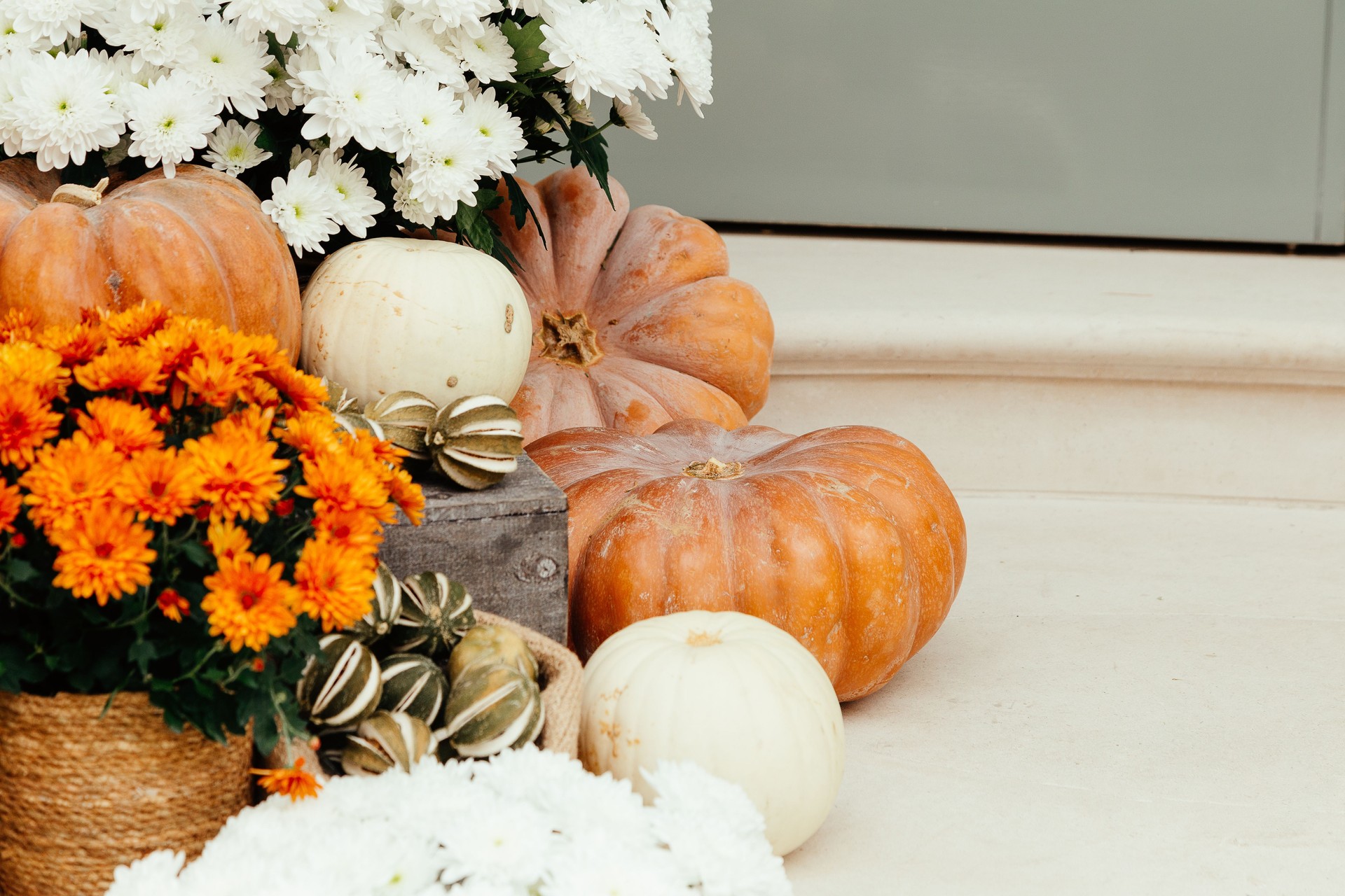 Pumpkins on front steps of houses decorated for Halloween